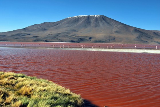 bolivie